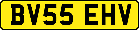 BV55EHV