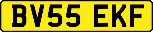 BV55EKF
