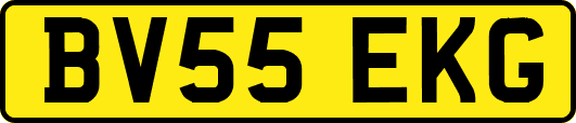BV55EKG