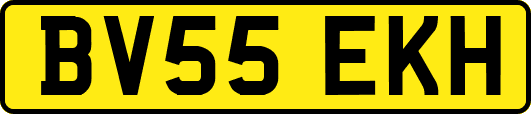 BV55EKH