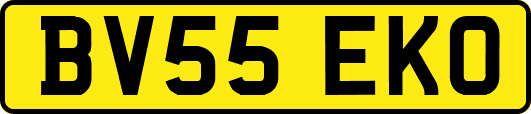 BV55EKO