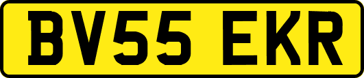 BV55EKR