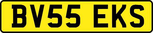 BV55EKS
