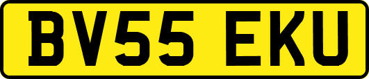 BV55EKU