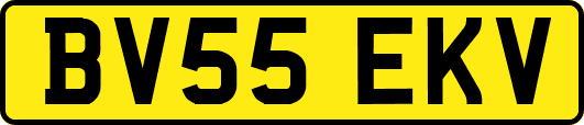 BV55EKV