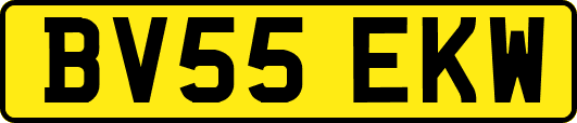 BV55EKW