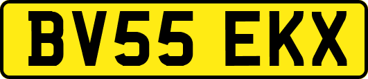 BV55EKX