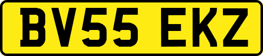 BV55EKZ