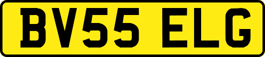 BV55ELG