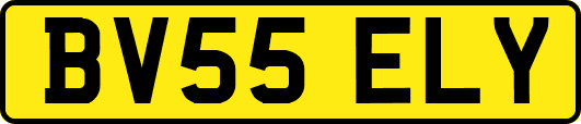 BV55ELY