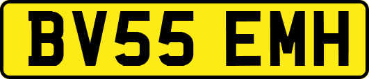 BV55EMH