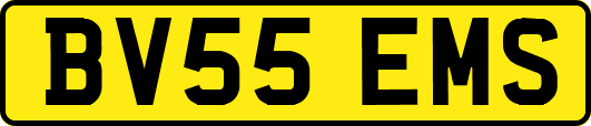 BV55EMS
