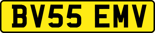 BV55EMV