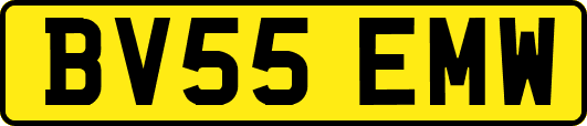 BV55EMW
