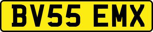 BV55EMX