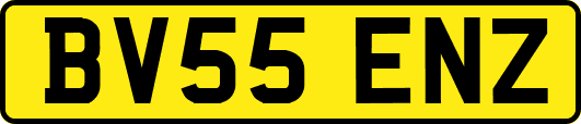 BV55ENZ