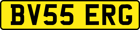 BV55ERG