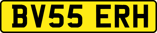 BV55ERH