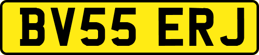 BV55ERJ