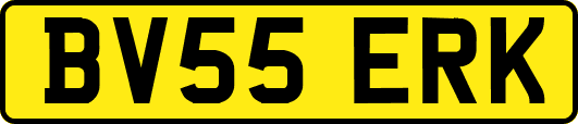 BV55ERK