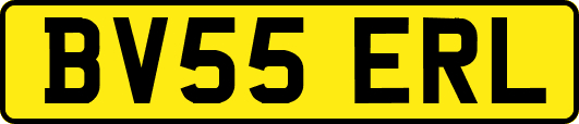 BV55ERL