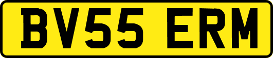 BV55ERM