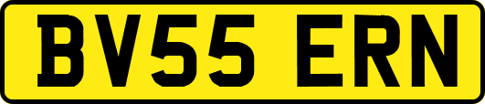 BV55ERN