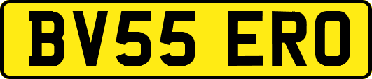 BV55ERO