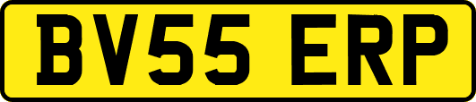 BV55ERP