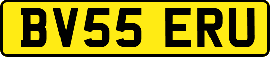 BV55ERU