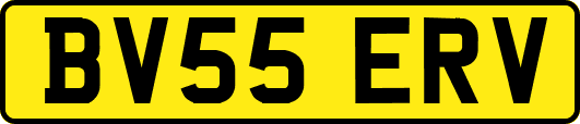 BV55ERV