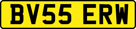 BV55ERW