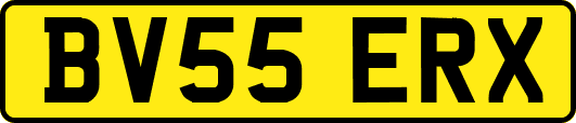 BV55ERX