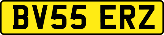 BV55ERZ