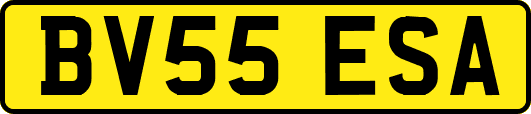 BV55ESA
