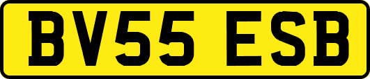 BV55ESB