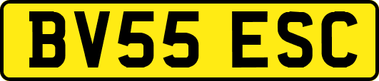 BV55ESC