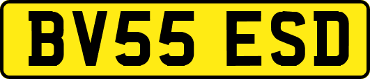 BV55ESD