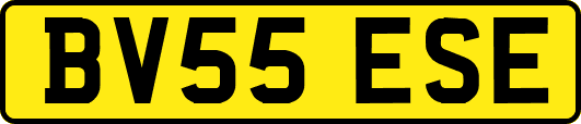 BV55ESE