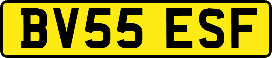 BV55ESF