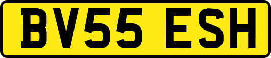 BV55ESH