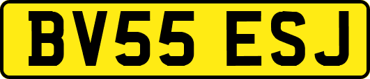 BV55ESJ