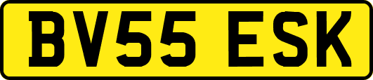 BV55ESK