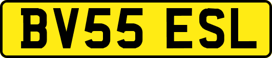 BV55ESL