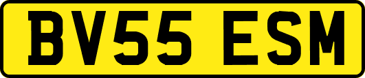 BV55ESM