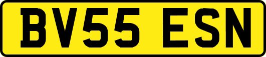 BV55ESN