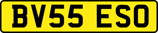 BV55ESO