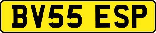 BV55ESP