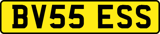 BV55ESS