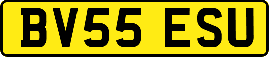 BV55ESU